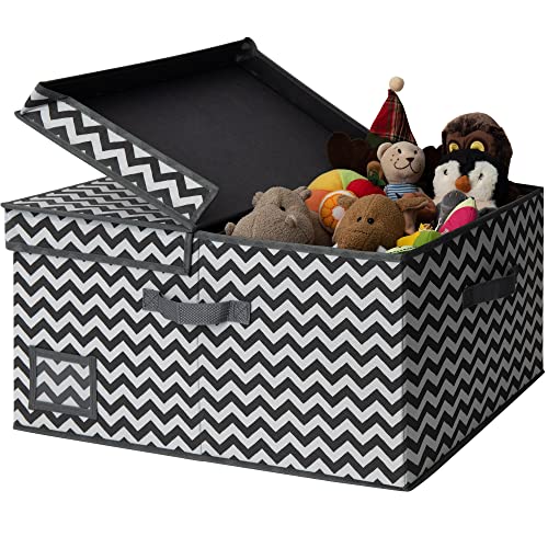 GRANNY SAYS Fabric Storage Bin with Lid, Closet Organizer Basket, Large