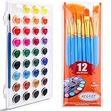 NEOACT Watercolor Brush Set, with a Watercolor