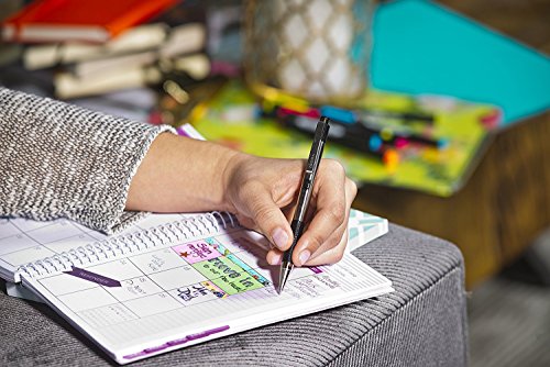 image for Zebra Technologies Zebra F-301 Ballpoint Stainless Steel Retractable P