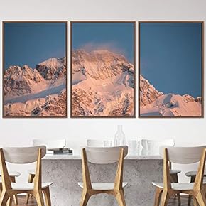 signwin 3 Piece Framed Canvas Wall Art Snow...
