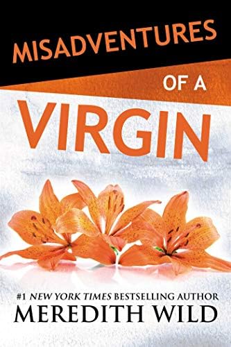 Misadventures of a Virgin (2)