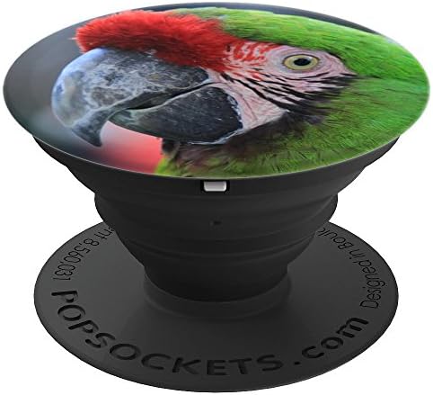 Green, Red, Tropical Bird