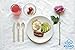 Wooden Disposable Cutlery Combo Set – 300 pc - 100 Forks, 100 Spoons, 100 Knives, 6” Utensils - Eco Friendly, Biodegradable, Compostable – Parties, Weddings, Gatherings – Forget Plastic, GO Green!