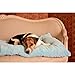 Pet Dreams Dog Crate Pad - Washable Kennel Mat, Crate Pads for Dog Cages, Non-Toxic, Flat Indoor Cat Bed, Fits iCrate 18, 24, 30, 36, 42, 48 Inches (Light Denim, XL, 42 Inch)