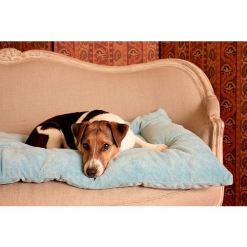 Pet Dreams Dog Crate Bed Original Crate Pad/ Kennel Mat Quality