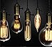 Globe Electric 01325 60W Vintage Edison A19 Quad Loop Incandescent Filament Light Bulb, E26 Base, 245 Lumens, Soft White