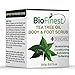 Biofinest Tea Tree Oil Body & Foot Scrub: with Dead Sea Salt, Jojoba Oil, Essential Oils - Best for Athlete Foot/ Fungus/ Acne/ Warts (250g)