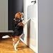 PROTECTO 2 Pack Cat Dog Scratch Protector, 35.5x24, Indoors Outdoors, Easy Install on Wall, Glass Door