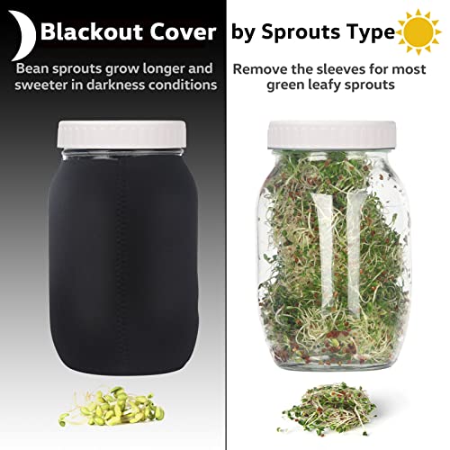 Complete Sprouting Jar Kit 2 Wide Mouth Mason Jars, 316 Screen Sprout