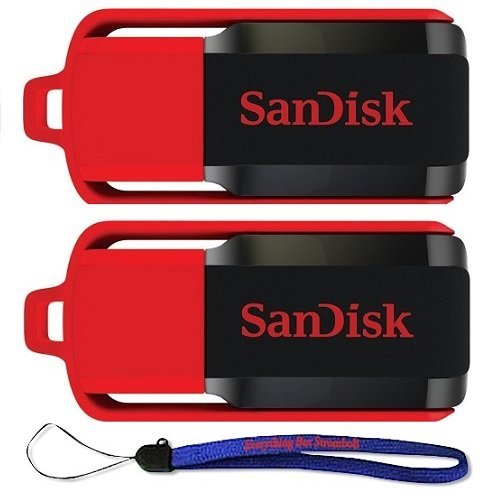 SanDisk Cruzer Switch 32 GB x2 = 64GB USB Flash Drive SDCZ52-032G-B35-2PK w/ Everything But Stromboli (TM) Lanyard
