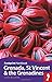 Grenada, St Vincent & the Grenadines Handbook (Footprint - Handbooks) by Lizzie Williams