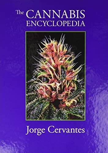 The Cannabible: King, Jason, Clarke, Robert Connell: 9781580082082