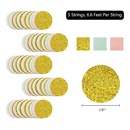 Paper Garland Circle Dots Streamer Backdrop Hanging Decorations for Birthday Baby Shower Wedding Decor - 5 Pack, 6.6 Feet Each (Pink,Mint,Gold)