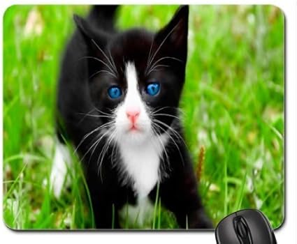 Amazon Co Jp ブルーアイマウスパッド マウスパッド 猫マウスパッド パソコン 周辺機器