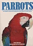 Parrots by 