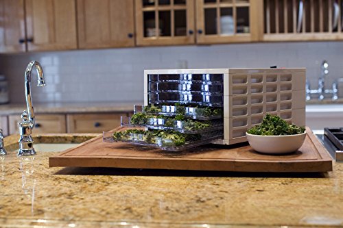 Weston Fruit & Veggie Dehydrator, 6 Tray (75-0301-W), Ultra Quiet Fan