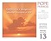Pope Francis: Daily Inspirations 2017 Boxed/Daily Calendar