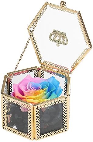 Angel Lover Preserved Flower Rose,Never Withered Roses,Upscale Immortal Flowers,Gifts Women,Her,Girls,Sister, Mother's Day,Valentine's Day,Anniversary,Birthday,Wedding (Y Rainbow Rose)