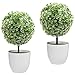 MyGift Tabletop Artificial Topiary Indoor Decor, Fake Plants Faux Green Boxwood Ball Tree with White Planter Pots, Set of 2