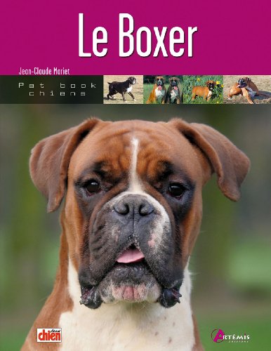 le boxer by Jean-Claude Mariet