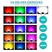 RGB LED Flood Lights, T-SUNRISE 100W Super Bright Outdoor Security Wall Light, Remote Control, RGB Color Changing IP65 Waterproof with US Plug for Garden, Yard, Warehouse Sidewalk