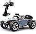TOZO C5031 1:12 Large Scale RC CAR Desert Buggy Warhammer High Speed 30MPH+ 4x4 Fast Race Cars RTR 4WD Electric 2.4GHz Radio Remote Control Off Road Truck Powersport Gray
