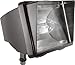 Rab Lighting FF100 Future Flood 100W HPS 120V NPF and LAMP Bronze