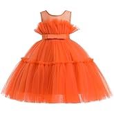 Dressy Daisy Baby Toddler Girls' Special Occasion Dress Tulle Ball Gown for Wedding Birthday Christmas Flower Girl 12M-7