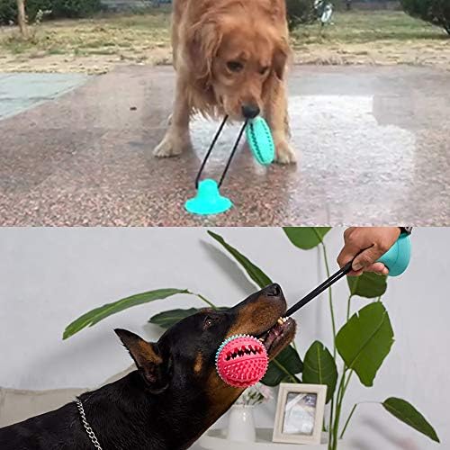 100 品質保証 おもちゃ 運動不足やストレス解消 新作製品 世界最高品質人気 犬 正規品送料無料 犬 おもちゃ 知育玩具 おやつボール 餌入れ 犬用 玩具ボール 噛むおもちゃ グリーン 犬 ボール 激安超特価 B086lkch 犬用