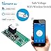 Geekstory SV Safe Voltage Wifi Wireless Switch Smart Home Module DC 5-24V Phone APP Control Support Secondary Development for Amazon Alexa Google Nest