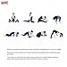 Arltb Yoga Block Brick and Strap Set of 2 Eco-friendly EVA Foam Brick Plus Yoga Strap with Metal D-Ring Provides Stability Balance and Support Improve Strength (9