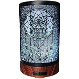 Amazon.com: Broksonic Hybrid Ultrasonic Humidifier & Diffuser, White