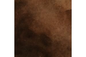 CONCRETE RESURRECTION Concrete Acid StainSemi-Transparent Professional Grade Cement Stain (Black Walnut, 1 Gallon)