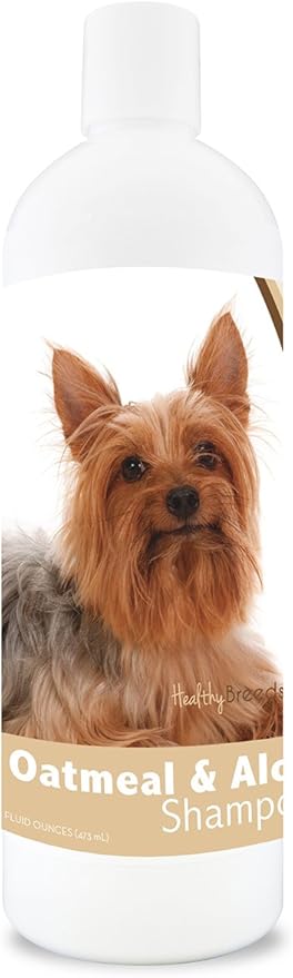 silky terrier hypoallergenic