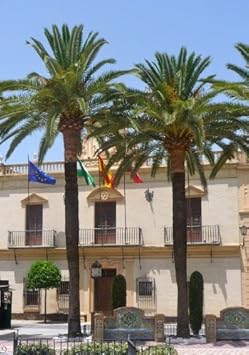 TROPICA - Echte Dattelpalme (Phoenix dactlyfera) - 15 Samen