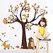 ElecMotive Jungle Wild Animal Vinyl Wall Sticker Decals for Kids Baby Bedroom (Owl Monkey Bear)