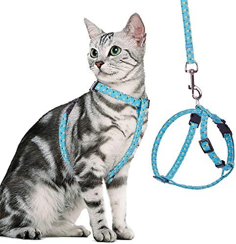 Cat Harness with Leash Set – Adjustable Escape Proof Walking Chest Strap with Pineapple Pattern