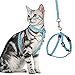 PUPTECK Breathable Cat Harness and Leash Set Escape Proof - Safety Reflective at Night, Pet Vest Harness for Small Medium Breed Kitty Kitten Outdoor Walking, Soft, Comfortable