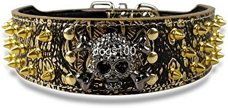 Ascentan(TM)2" Width Gold Spikes Studded Leather Dog Collars For Medium Large 15-24" With Skull Cahrm