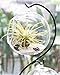 Mkono Clear Glass Vase Hanging Plant Terrarium with Black Metal Stand Tabletop Display Potted Stand for Air Plants Succelent Home Office Decor, S-Shape, 2 Globes.