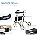 OasisSpace Aluminum Rollator Walker, with 10'' Wheels and Seat Compact Folding Design Lightweight Baking Complimentary Carry Bag (Champagne)