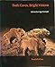 Dark Caves, Bright Visions: Life in Ice Age Europe by