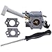 Hipa 308054079 Carburetor + Tool for Ryobi RY08420 RY08420A Backpack Blower
