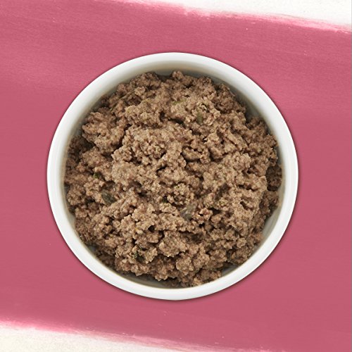 Purina Beyond Grain Free, Natural Pate Wet Dog Food, Grain Free Beef, Potato & Green Bean Recipe - ( - //medicalbooks.filipinodoctors.org