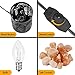 Himalayan Salt Lamps, OxyLED Natural Pink Salt Night Lights with Two Bulbs, Crystal Rock Salt Light in Metal Basket Lampshade with Dimmer Switch, Father's Day Gift (3.15 x 4.33
