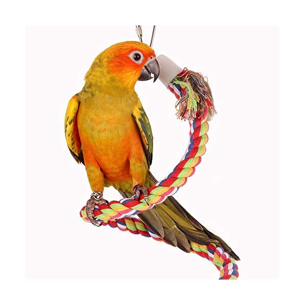 ASOCEA Uccello della Corda Bungee Giocattolo con Campana Cotone Pappagallo Spirale Swing Arrampicata Gabbia in Piedi…