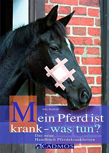 Mein Pferd Ist Krank Was Tun Das Neue Handbuch Pferdekrankheiten Amazon De Rusbuldt Anke Bucher