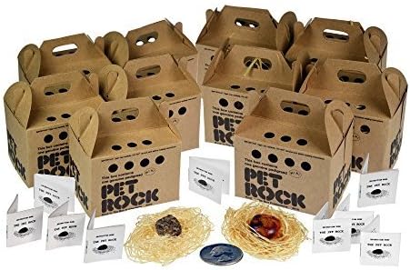 10 Pet Rock Mini Style Party Favors Silly Gag Gifts by The Pet Rock Throwback