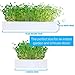 EcoQube Sprout – Easy and Affordable Herb Garden Starter Kit Indoor – Grow Organic Microgreens and Plants – an Indoor Herb Garden That Includes Seeds and Growing Traysthumb 3
