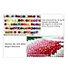 Totoo Fairy Butterfly 5D Diamond Painting Embroidery DIY Paint-By-Number Kit Home Wall Decor (40x40cm, B)